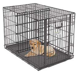 Midwest Ovation Single Door Up & Away Wire Dog Crates 24-inch divider
